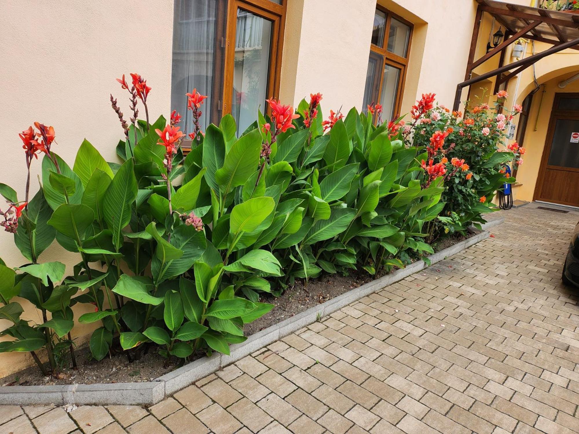 4Rooms Central Sibiu Exterior photo
